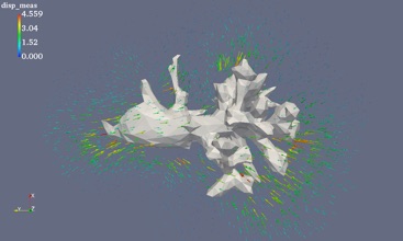 Measured HUVEC displacement